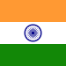 flag-in